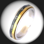 RN-1991 Roman Numeral Spinning Stainless Steel Ring
