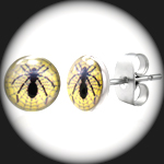 LEB-086 - Mens SPIDER WEB Stainless Steel Earring